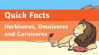 Quick Facts Herbivores Omnivores and Carnivores Video [upl. by Jerald]