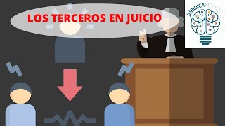 LOS TERCEROS EN JUICIO [upl. by Garrek]