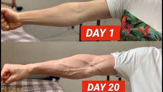 Vascular Forearms in Only 20 Days [upl. by Robinson]