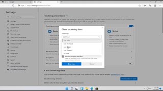 Windows 11  How to Delete Browsing History Tutorial [upl. by Zeni]