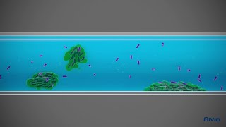 What is biofilm [upl. by Koby988]