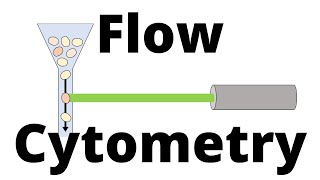 FLOW CYTOMETRY in 1 minute [upl. by Salisbury995]