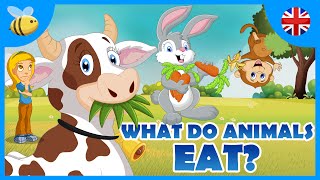 What do Carnivores Herbivores and Omnivores Animals Eat  Kids Videos [upl. by Fermin]