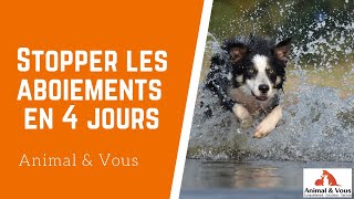 Mon chien aboie comment faire [upl. by Tiffie765]