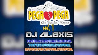 El Pega Pega  CUMBIAS MIX Vol1   DJ Alexis [upl. by Einnig708]