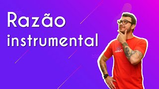 Razão instrumental  Brasil Escola [upl. by Wilonah166]