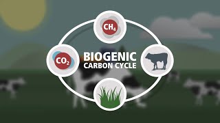 Biogenic Carbon Cycle [upl. by Yllut]