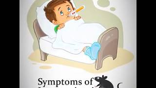 LEPTOSPIROSIS  Signs and Symptoms of Leptospirosis [upl. by Adnahsat236]