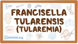 Francisella tularensis Tularemia  an Osmosis Preview [upl. by Akemaj]