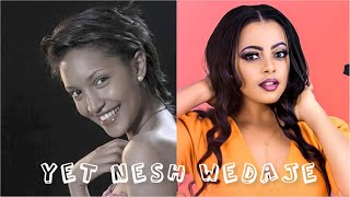 Sayat Demissie amp Lemlem Hailemichael  Yet Nesh Wedaje With LYRICS የት ነሽ ወዳጄ Ethiopian Music HD [upl. by Nordin]