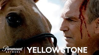 See How It All Began Yellowstone Season 1 Opening Scene  Paramount Network [upl. by Yeoz635]