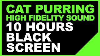 Cat Purring ASMR  Cat Purring Sound  Cat Purring Healing HighFidelity Sound 10 Hours Black Screen [upl. by Camm]