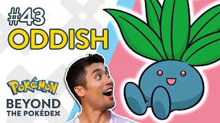 Oddish  Beyond the Pokédex  Entry 43 [upl. by Paapanen]