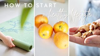 How to START a Healthy Lifestyle  7 pillars of good health [upl. by Marciano]