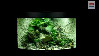 Juwel Aquarium Trigon 190 Einrichtungsbeispiel  Tutorial [upl. by Nekcerb184]