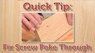 Quick Tip Fix a Protruding Screw [upl. by Nnyltiak578]