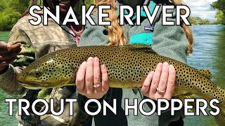 Epic Snake River Hopper Fishing [upl. by Ahsinrats967]