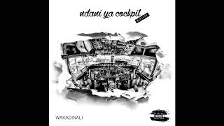 Wakadinali  quotStaki Rafikiquot Official Audio [upl. by Habeh572]