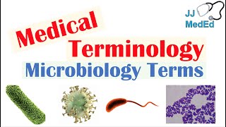 Medical Terminology  The Basics  Microbiology and Infectious Diseases Lesson [upl. by Marabelle]