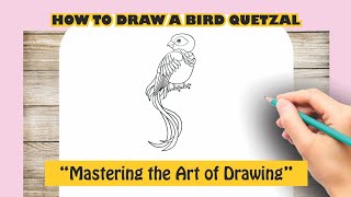 How to Draw A Bird  Quetzal [upl. by Krissy]