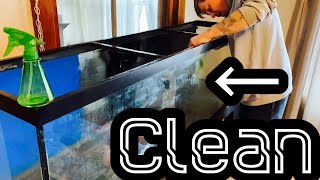 Clean Old Aquarium Glass  Mineral Buildup amp Stains [upl. by Gaut]