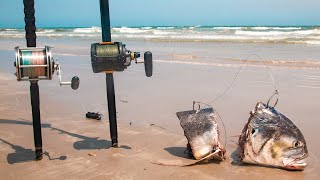 using shark bait at the beach  live mullet and jack [upl. by Illom]