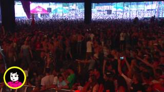 FIDDLERS GREEN  Live at PINKPOP 2015 Full Concert [upl. by Garrity]