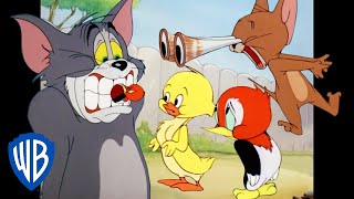 Tom amp Jerry  Animal Kingdom  Classic Cartoon Compilation  WB Kids [upl. by Anelat]