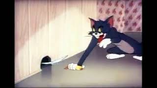 Tom and Jerry 70 EpisodeSouthbound Duckling 1941 [upl. by Gable]