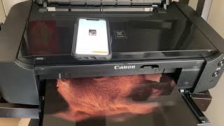 Canon Ip8720 13 x 19 Print Demo [upl. by Anim382]