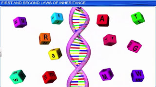 CBSE Class 12 Biology  Principles of Inheritance and Variation Part 1  Full Chapter [upl. by Anyak637]