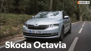 KurzCheck mobilede  Skoda Octavia [upl. by Durman]