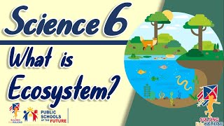 SCIENCE 6 ECOSYSTEM  Grade 6 [upl. by Kassia]