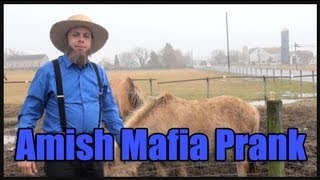 Amish Mafia [upl. by Enair]