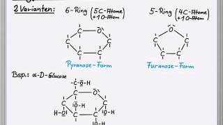 Ringformen der Monosaccharide [upl. by Cony]