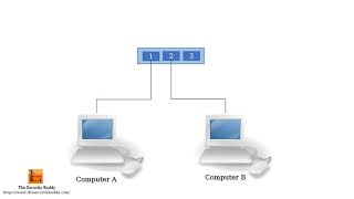 What is Port Mirroring [upl. by Evelyn]