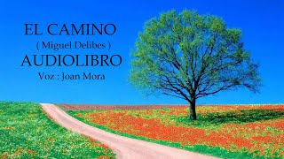 EL CAMINO Miguel Delibes AUDIOLIBRO Narrado por Joan Mora [upl. by Aitra609]