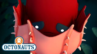 Octonauts  The Vampire Squid  Halloween Special  Kidzuko [upl. by Harty]