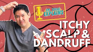 Dr Sugai Explains Itchy Scalp and Dandruff What Shampoos to Consider [upl. by Wolgast598]