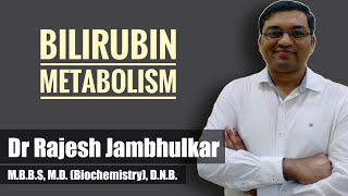 Bilirubin metabolism  Heme catabolism by Dr Rajesh Jambhulkar [upl. by Henleigh]