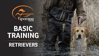 Basic Training  Retrievers [upl. by Ardie]