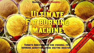 ★The Ultimate Fat Burning Machine★ [upl. by Lubbi]