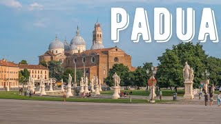 Padua Italy 🇮🇹  Summer 2022  Virtual Walking Tour City  4K 60FPS  ASMR [upl. by Kress]