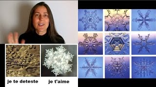 Memoire de leau Masaru Emoto [upl. by Ahseila757]