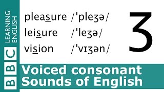 English Pronunciation 👄 Voiced Consonant  ʒ  pleasure leisure and vision [upl. by Olrak1]