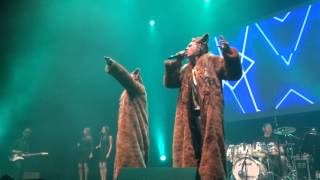 LIVE Ylvis  The Fox [upl. by Oniratac263]