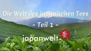 Doku Grüner Tee Anbau und Verarbeitung  Die Welt des japanischen Tees bei Japanwelt [upl. by Haidebez279]