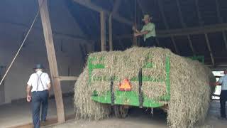 Unloading hay into the mow using horses and a hay hook [upl. by Erbe]