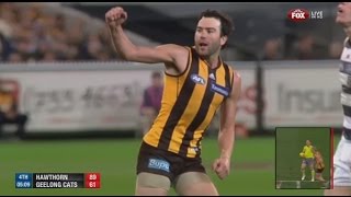 AFL 2014 2nd Qualifying Final  Hawthorn highlights vs Geelong [upl. by Valdas]