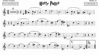 Brano 31  Harry Potter  FlautoViolino T La [upl. by Anaejer942]